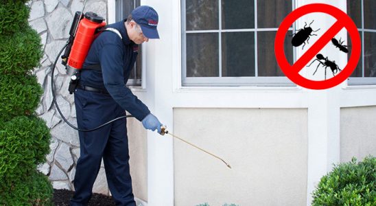Serinhisar Akrep İlaçlama böcek ilaçlama ve haşere kontrolü — ilaclama-tr.com